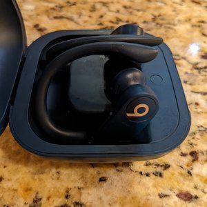 PowerBeats Pro Ear Buds